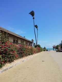 Eco Paradise 227 - 4