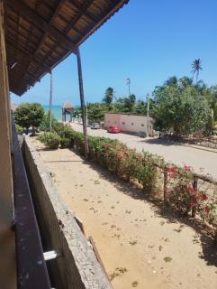 Eco Paradise 227 - 3