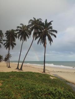 Eco Paradise 227 - 2