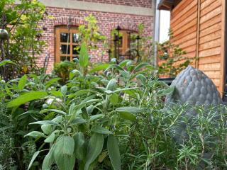 FØRGE- A Nordic Hideaway - 3