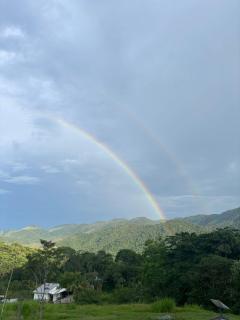 Sítio com piscina natural Cachoeiras de Macacu - 5