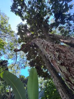 Sítio com piscina natural Cachoeiras de Macacu - 6