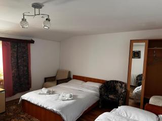 Pensiunea Wolfsberg - 1