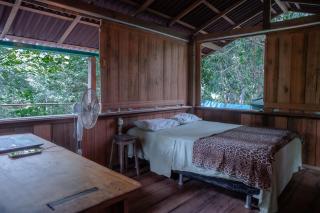 Bangalô na Floresta Encantada - 5