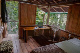 Bangalô na Floresta Encantada - 9