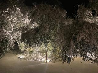 Château SPA Art Déco-B&B en MasterSuite et-ou Gîte de Charme Indépendant Tout Confort-PROMO Jacuzzi 1H Offerte-Parc 3Ha-PingPong-Aire Enfants-À 3 Mn Giverny-Parc Naturel du Vexin-Piscine Extérieure-Options-Dîner-Billard-Massage-Yoga-Fitness-Sauna-Hammam - 5