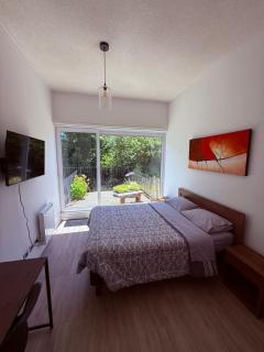 Estudio con patio Smart Isla Teja - 7