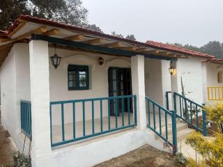 White Oasis Jungle Resort - 1