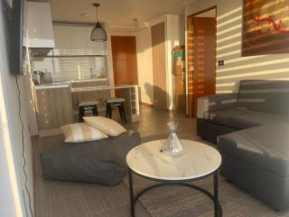 Oceanfront apartment on the Iquique peninsula - 1