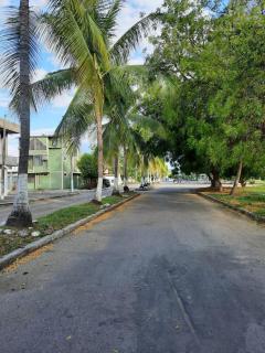 Tu rincón de Descanso entre naturaleza y Diversión - 1