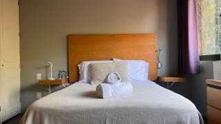 Terraza & Loft San Ángel - 9