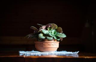 Ubytování a Keramická dílna Habartovi - 9