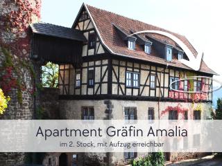 Amalias Altstadtquartier - Apartment mit Aufzug & Garten in der Hinterburg Schlitz - 2 Schlafzimmer, Parkplatz, Altstadtflair für Paare & Ruhesuchende - 3
