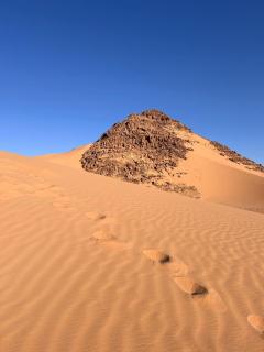 Bedouin Luxe Camp & Tour - 9