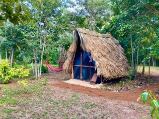 Eco Farmstay near Corozal Belize Quiet Nature Stay - 8