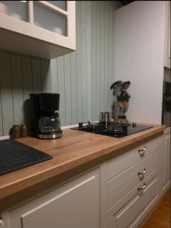 Kopitnik cosy cabin - 3