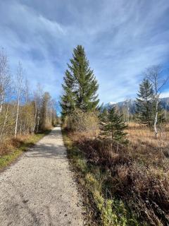 Cozy Apartment in Inzell - 9