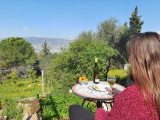 הבית ליד הבוסתן - 3