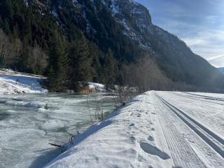 Gschlössle Ferienwohnungen - 9