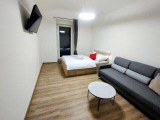 2 - room apartment with terrace and free parking - 8
