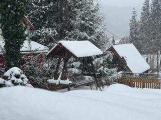 Villa Garden Balvanyos - 7