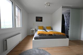 Sunny Renovated Alpine Apartment by Interlaken - 3