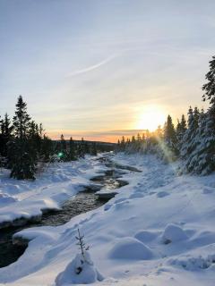 Modern Mountain Cabin With Panoramic Views - 9