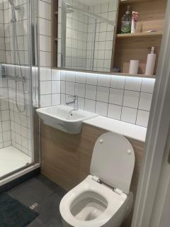 Entire modern apartment - 5