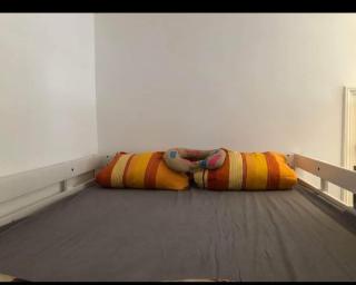 Big 3 Room Apartment Central - Vienna - 7