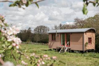 La roulotte Ô Cwèrbâs - 9