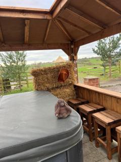 Starshinezzz - Large Farmhouse County Durham - 9