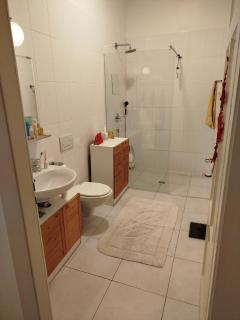 Beautiful apartment in center of Geneva, 150 m2 - 2