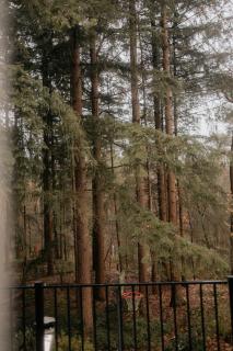 Klein Nieuwe Wegen - 9