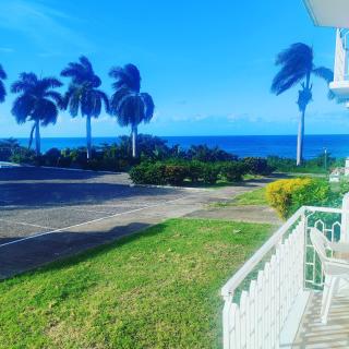 Peaceful Paradise - 3