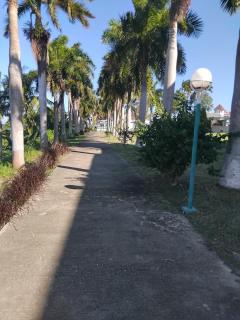 Peaceful Paradise - 1