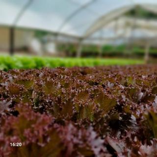 Sitio Charmoso nas Montanhas Capixabas - 5