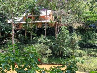 Sitio Charmoso nas Montanhas Capixabas - 3