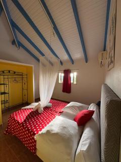 Palmier -Le coin du voyageur - 8