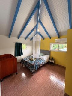 Palmier -Le coin du voyageur - 3