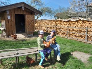Demelhof Urlaub auf dem Bauernhof - 8