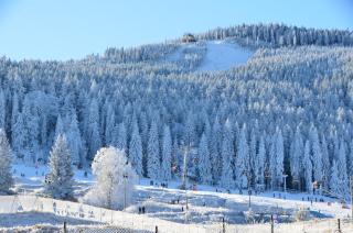Czarna Góra Apartotel Czarna Perła 301 - 3