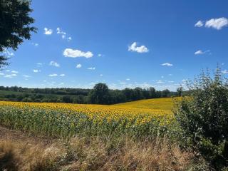 Grande maison de campagne entre Vienne et Berry - 1