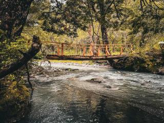 Cabaña de Montaña con Río - 6