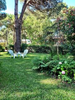 Casa en Pinamar con Jardin - 9