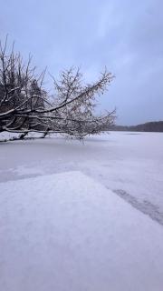 Cottage - Kleine alte Villa am See - 8