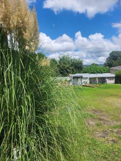 Bambú Los Perales Depto Familiar con Asador, patio, Aire Acondicionado y estacionamiento - 9