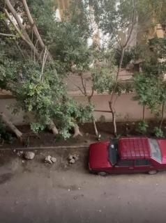 اللبيني فيصل - 5