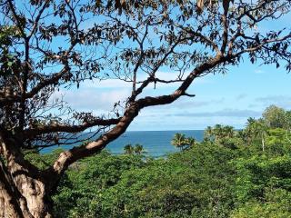 Curcu House magical beach house & tropical forest - 4