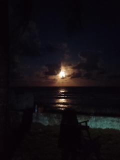 Refúgio Pé na Areia Beira-Mar 8 pessoas - 2