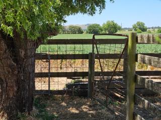 The Country Cabin with a View - 9